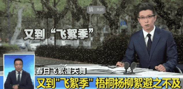 小朱配琦：央视段子王大战网红一哥，原来取胜是因为……(图12)