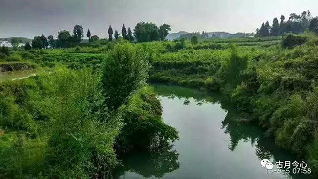 【1】贫地一声春雷(图1)