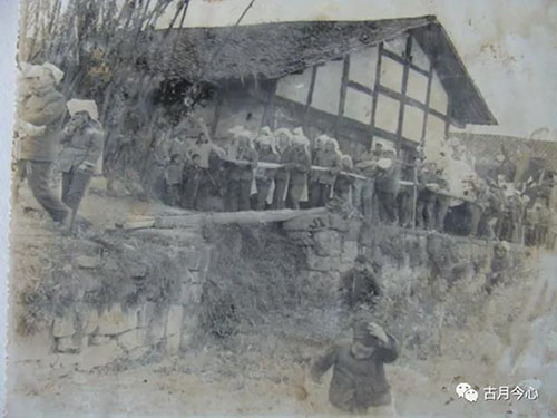 【1】贫地一声春雷(图2)