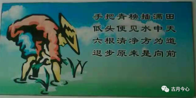 心路历程 | 【81】插秧歌(图1)