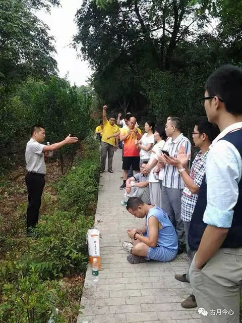 心路历程 | 【90】杨贵妃与法拉利(图1)