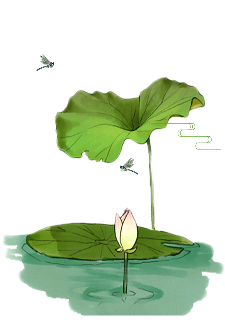 “荷花定律”的创业启示(图1)